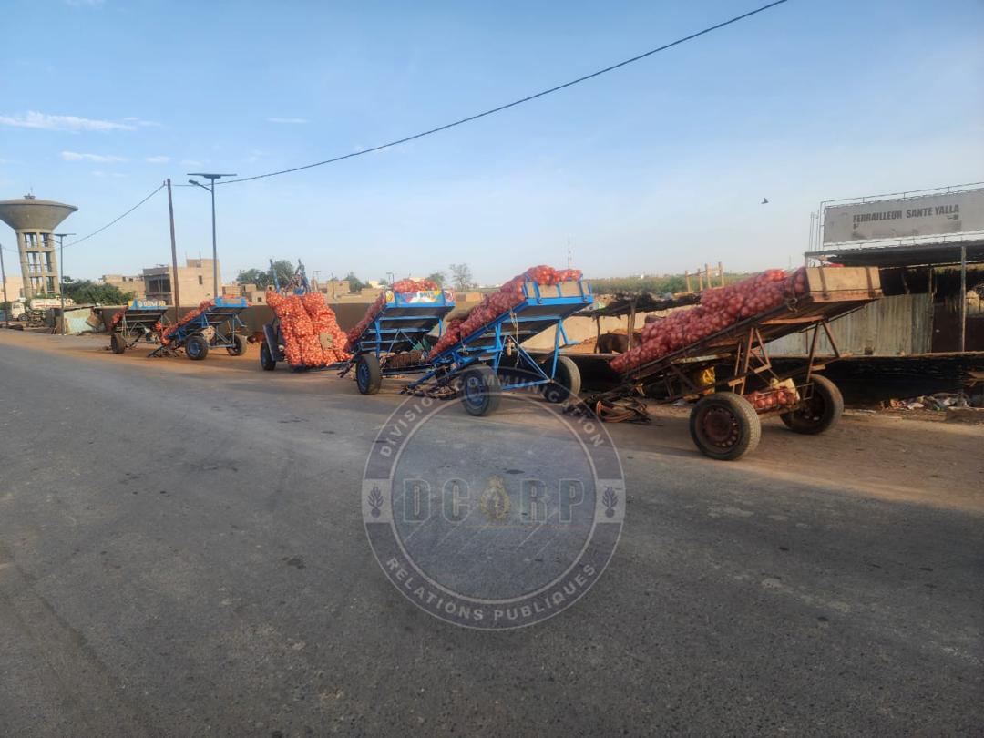 LUTTE CONTRE LA CRIMINALITÉ TRANSNATIONALE: ONZE PERSONNES ARRÊTÉES A ROSSO POUR TRAFIC ILLICITE DE PRODUITS AGRICOLES